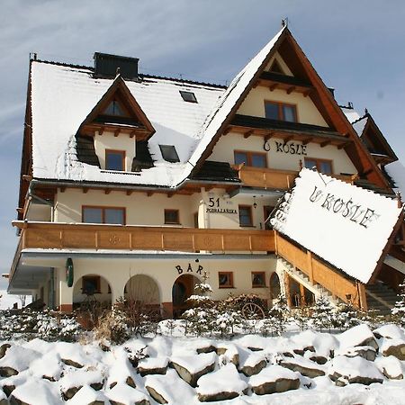 Willa U Kosle Zakopane Exteriér fotografie
